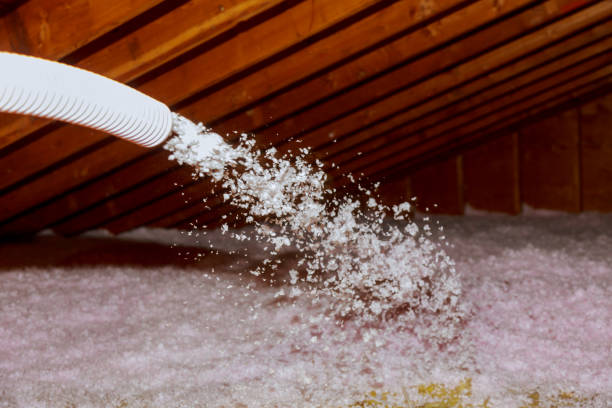 Best Insulation Maintenance and Repair in Cove Creek, NC